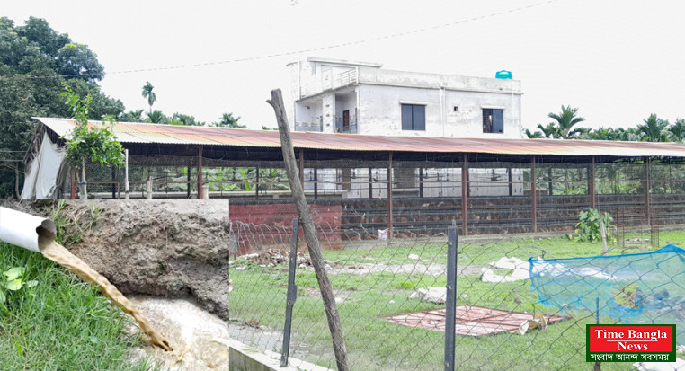 পঞ্চগড়ের তেঁতুলিয়ায় পোল্ট্রি ফার্মের বর্জ্যে ফসলি জমি ও নদী দূষণ